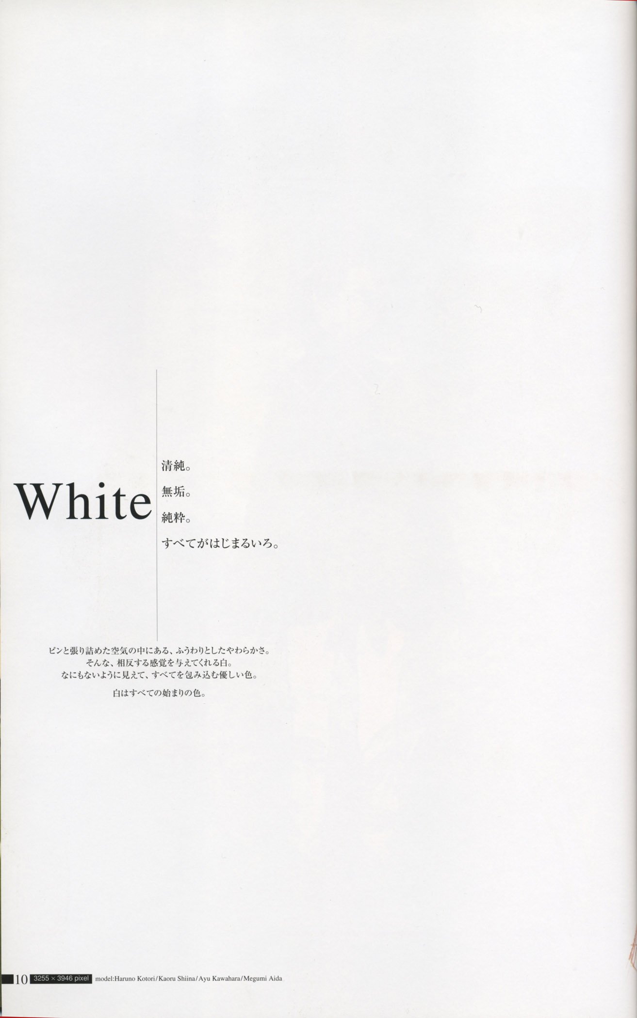 littlewhiteartbook10.jpg