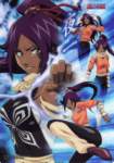 bleach79_small.jpg