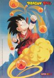 Goku con su ropa de entrenamiento del maestro roshi y sobre su nube voladora