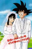 La boda de Goku y Milk, Chichi o como se le conozca donde estn leyendo esto