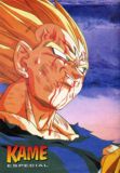 Vegeta Makai a punto de sacrificarse en pro de la tierra, su familia, el Goku.. quien lo viera